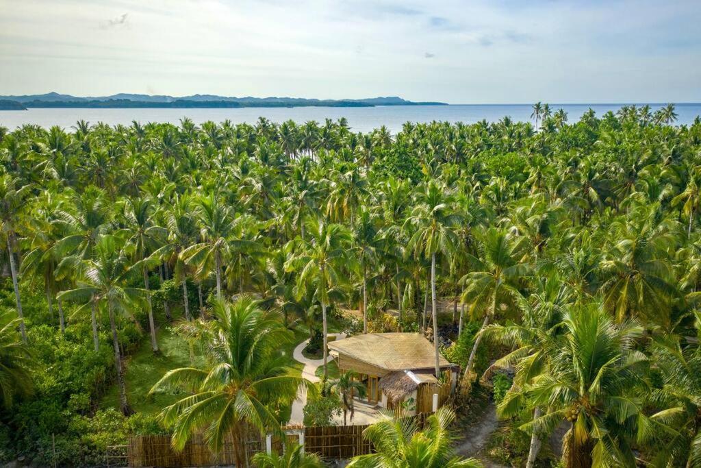 The Bamboo Houses - Tropical Garden & Empty Beach General Luna  Exterior photo