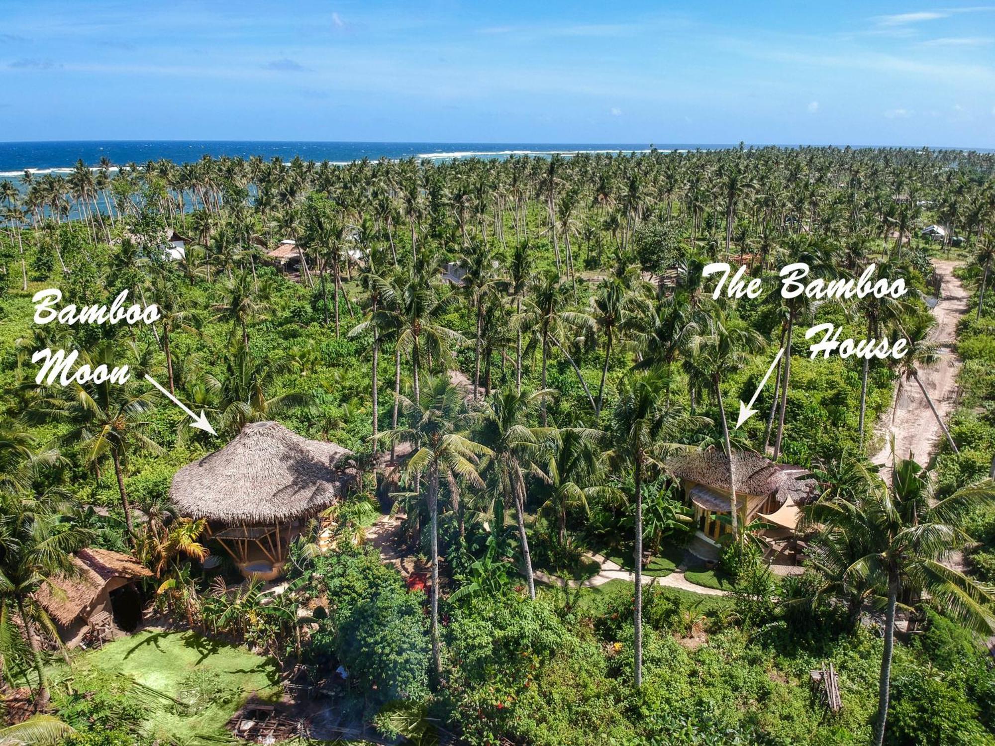 The Bamboo Houses - Tropical Garden & Empty Beach General Luna  Exterior photo