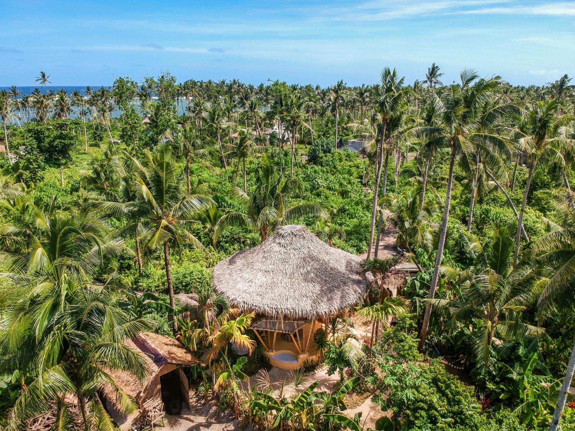 The Bamboo Houses - Tropical Garden & Empty Beach General Luna  Exterior photo